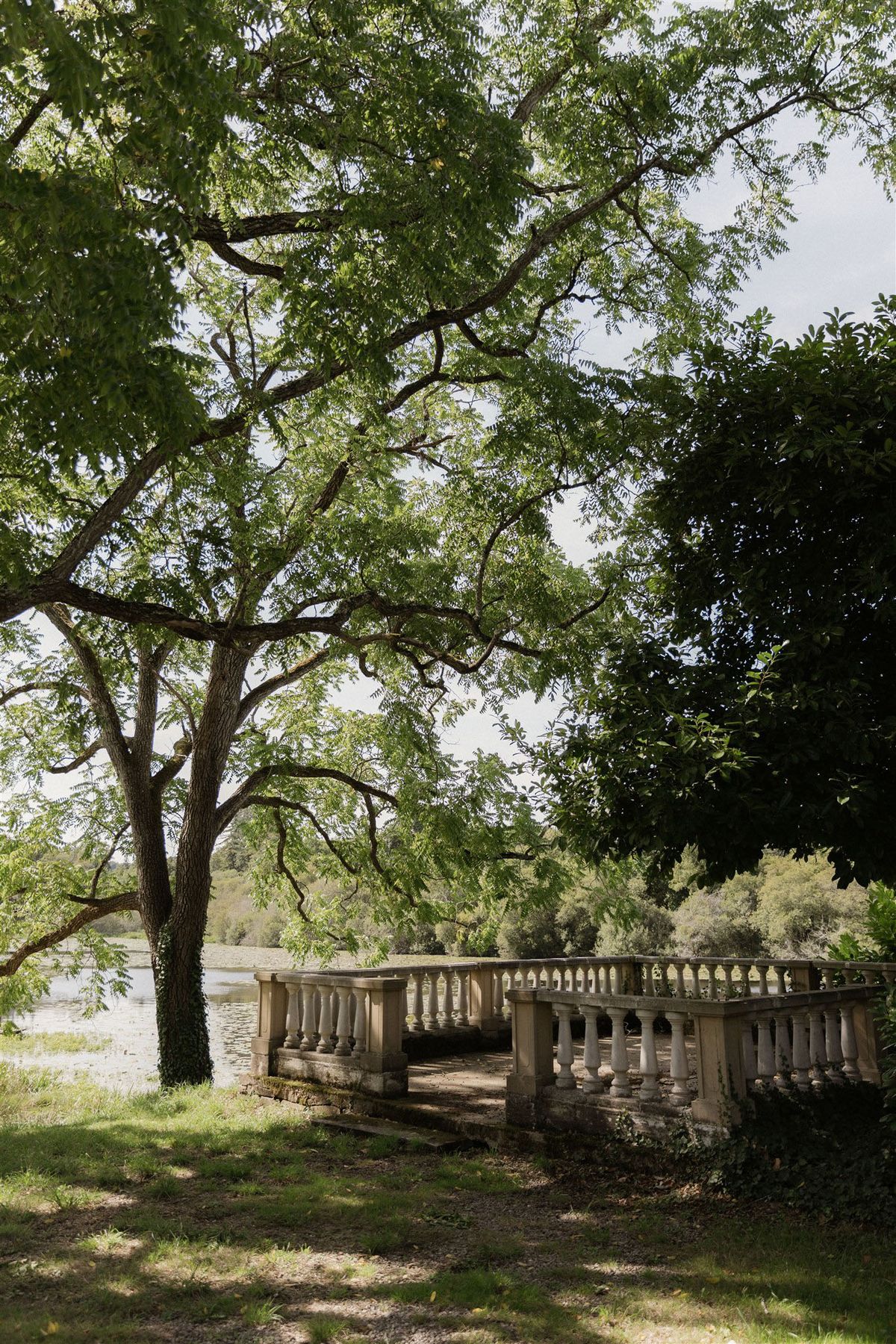 An outdoor venue grounds shot showing a classic stone balustrade terrace or jetty extending toward a body of water, framed by mature trees with spreading canopies. No people are present in the image. The stone balustrade features turned spindles in a cream or weathered white finish, consistent with French estate architecture. The composition is a wide vertical shot taken from ground level, capturing the terrace leading toward the water with dappled natural light filtering through the tree canopy. Potential venue feature image.