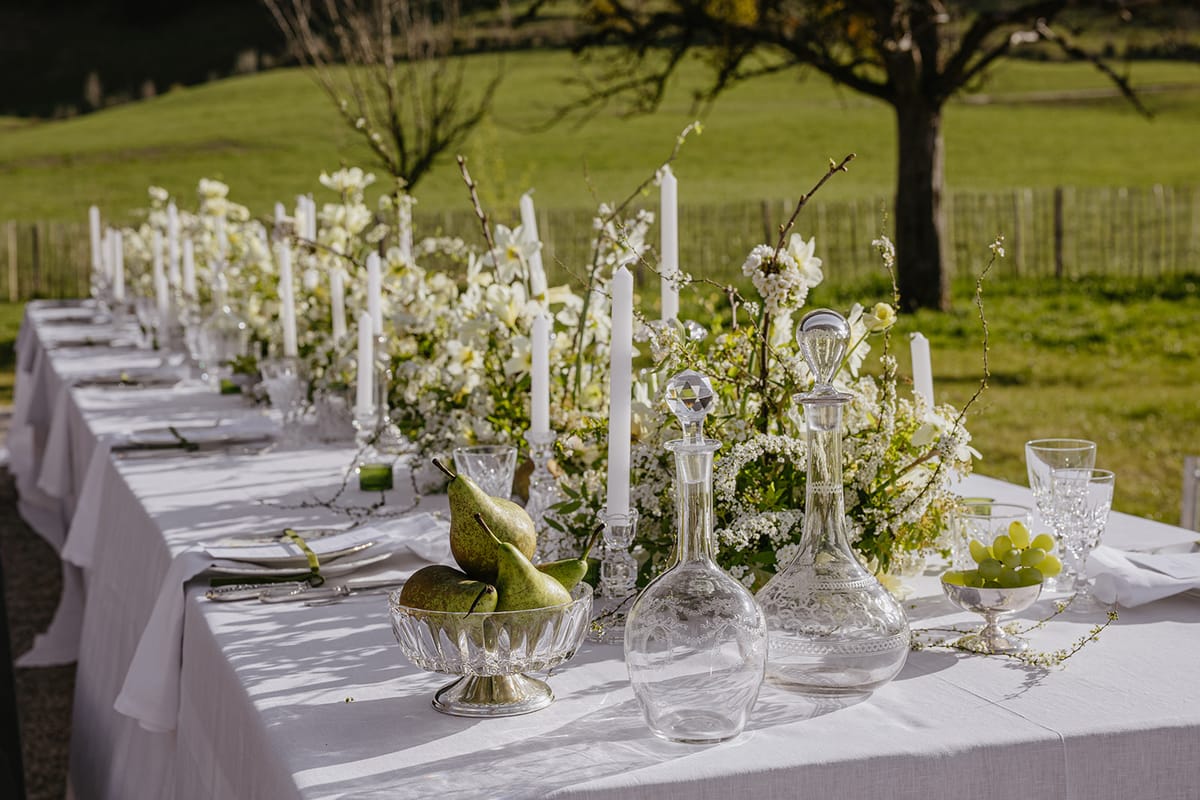 Daria Events & Weddings