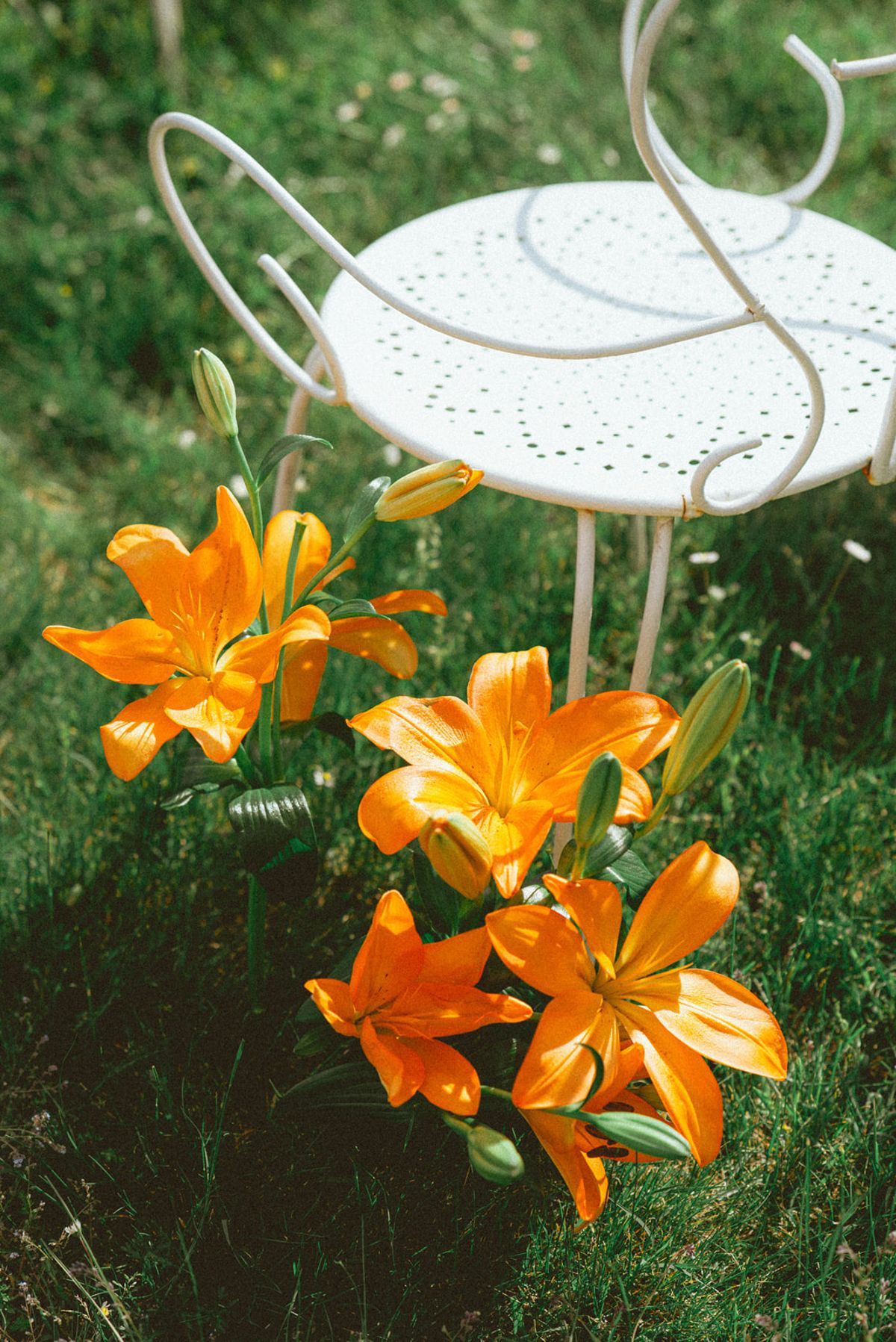 Orange lily aisle flowers at Chateau de Campet