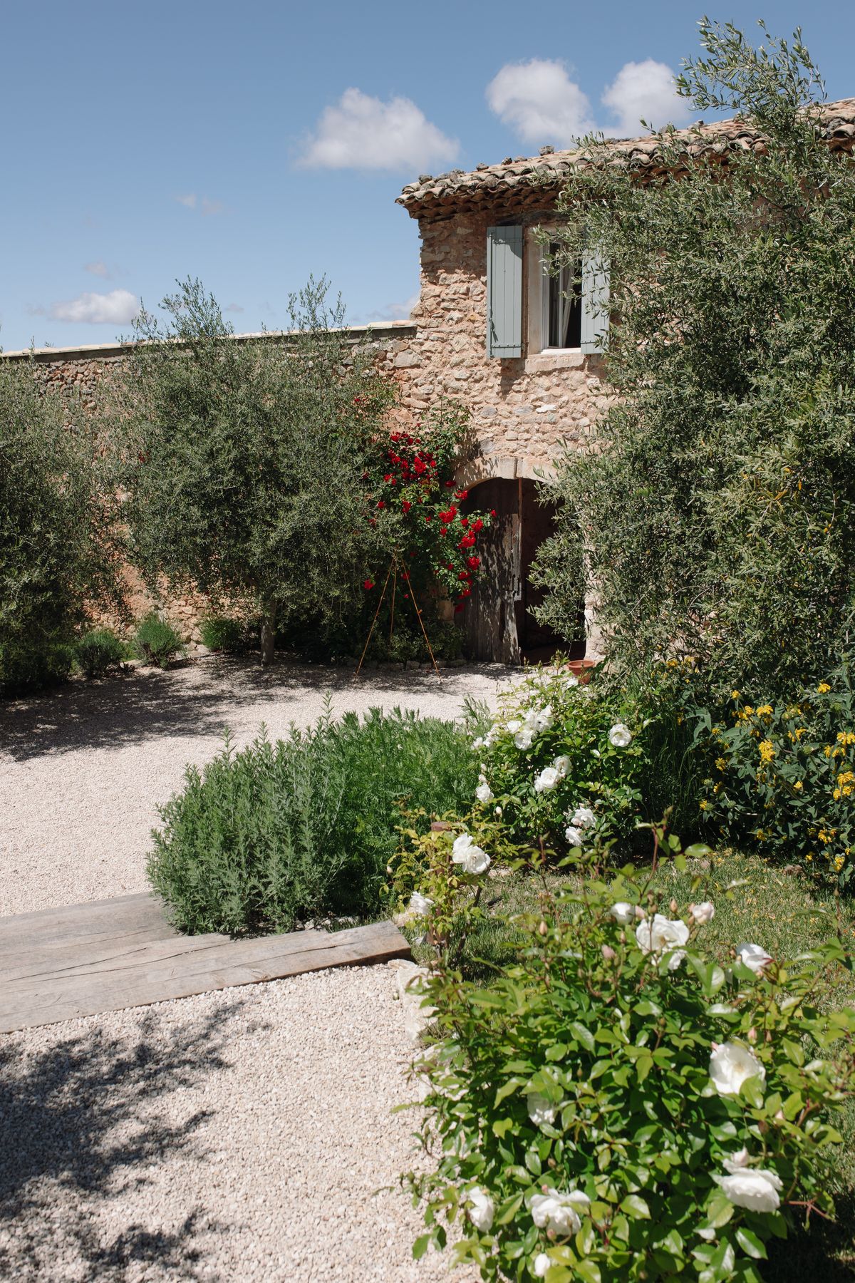 Entrance path at Mas de Florette lined with roses