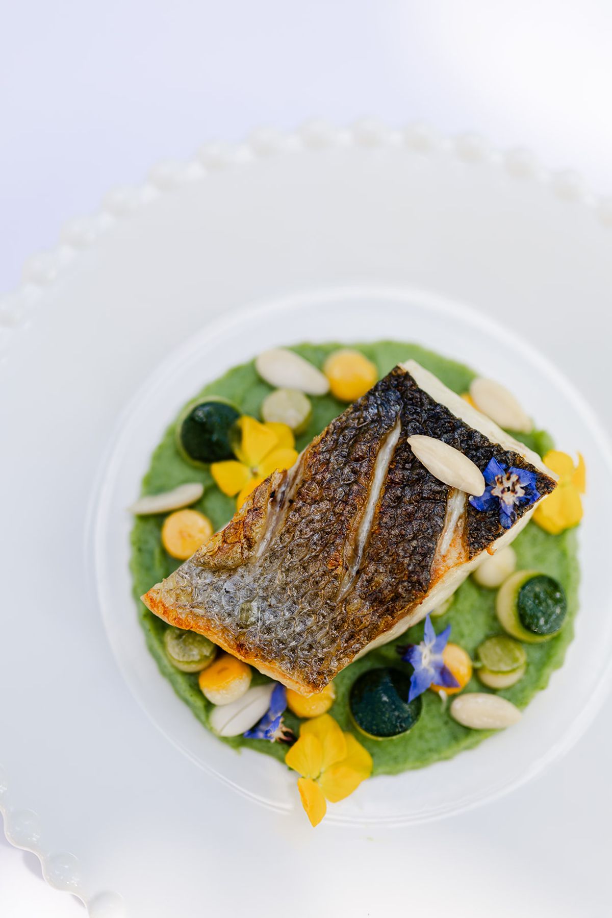 Sea bass on green pea purée finished with edible violas