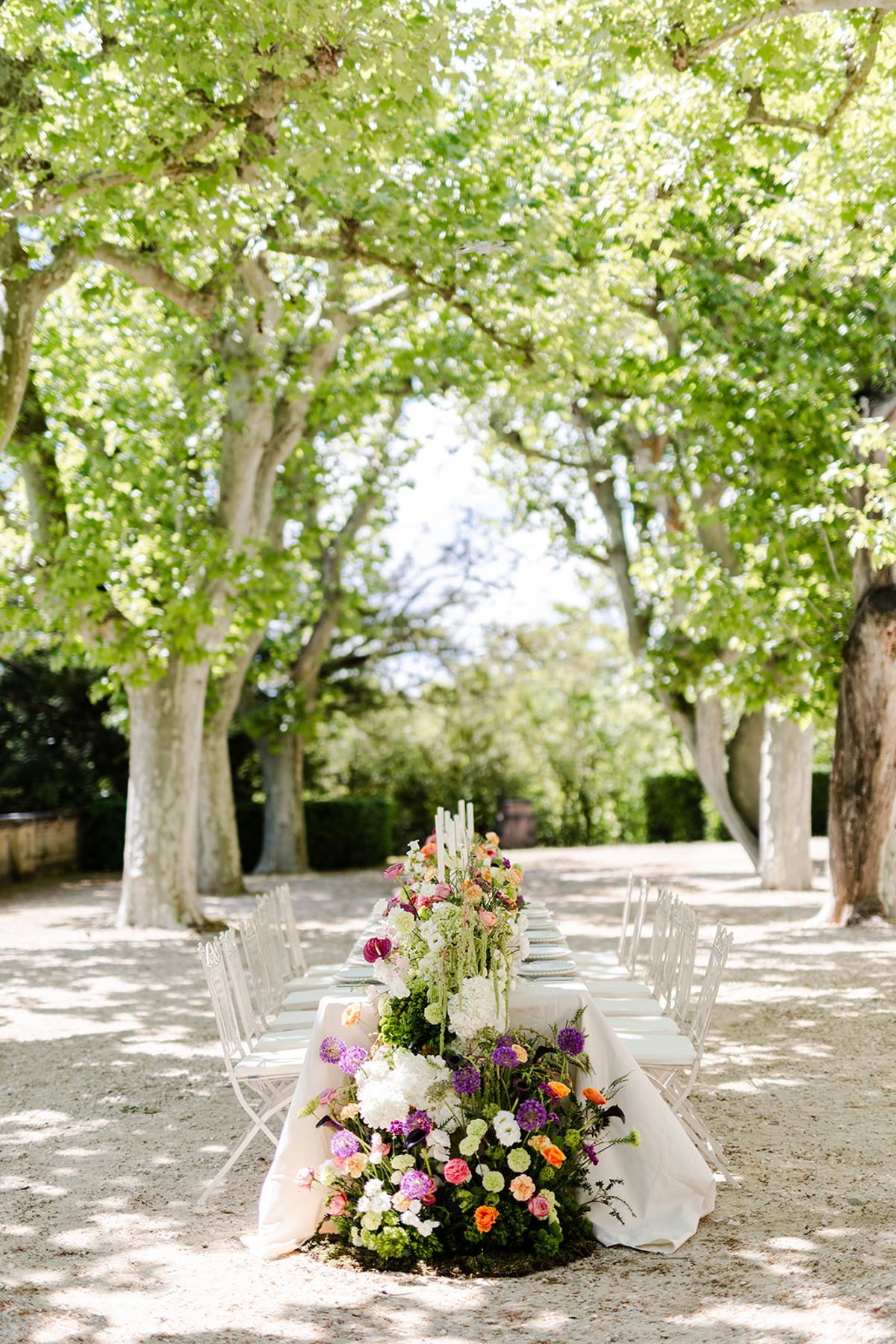 Dinner table set in the avenue of plane trees with a tall floral arrangement