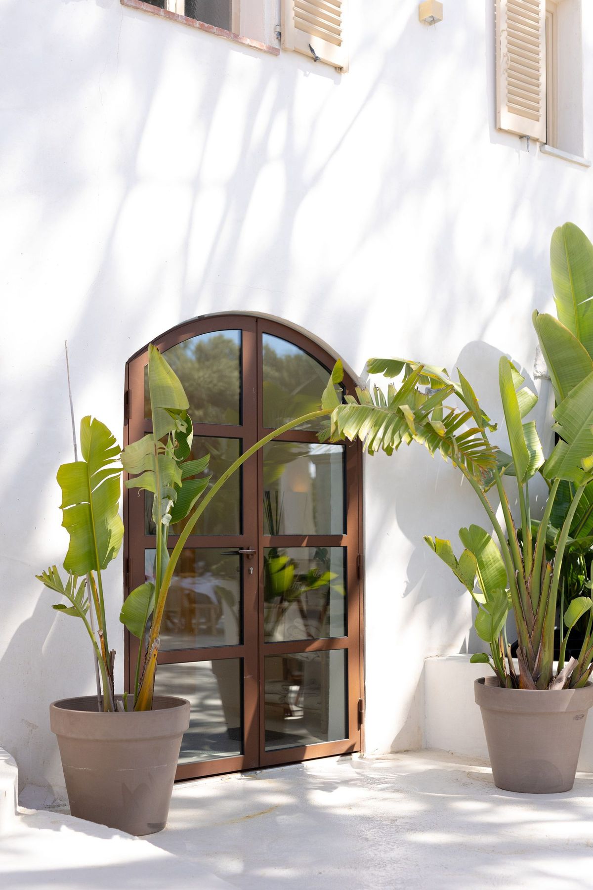 The entrance archway framed by potted plants