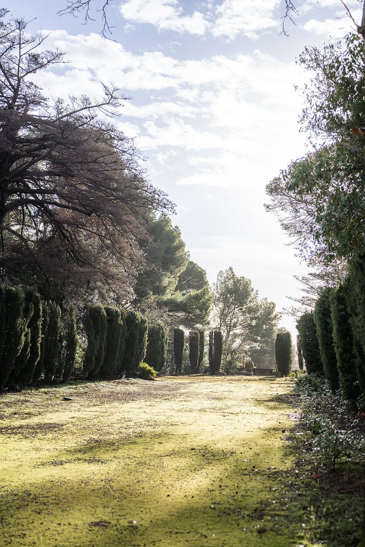 Sunlit grass alley lined with cypress and trees in the grounds of Château du Terral