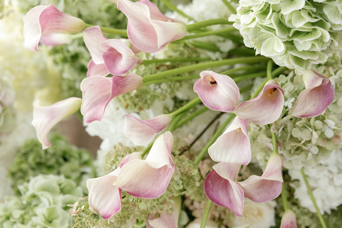 Styling and floral details at Domaine de Canaille, Cassis