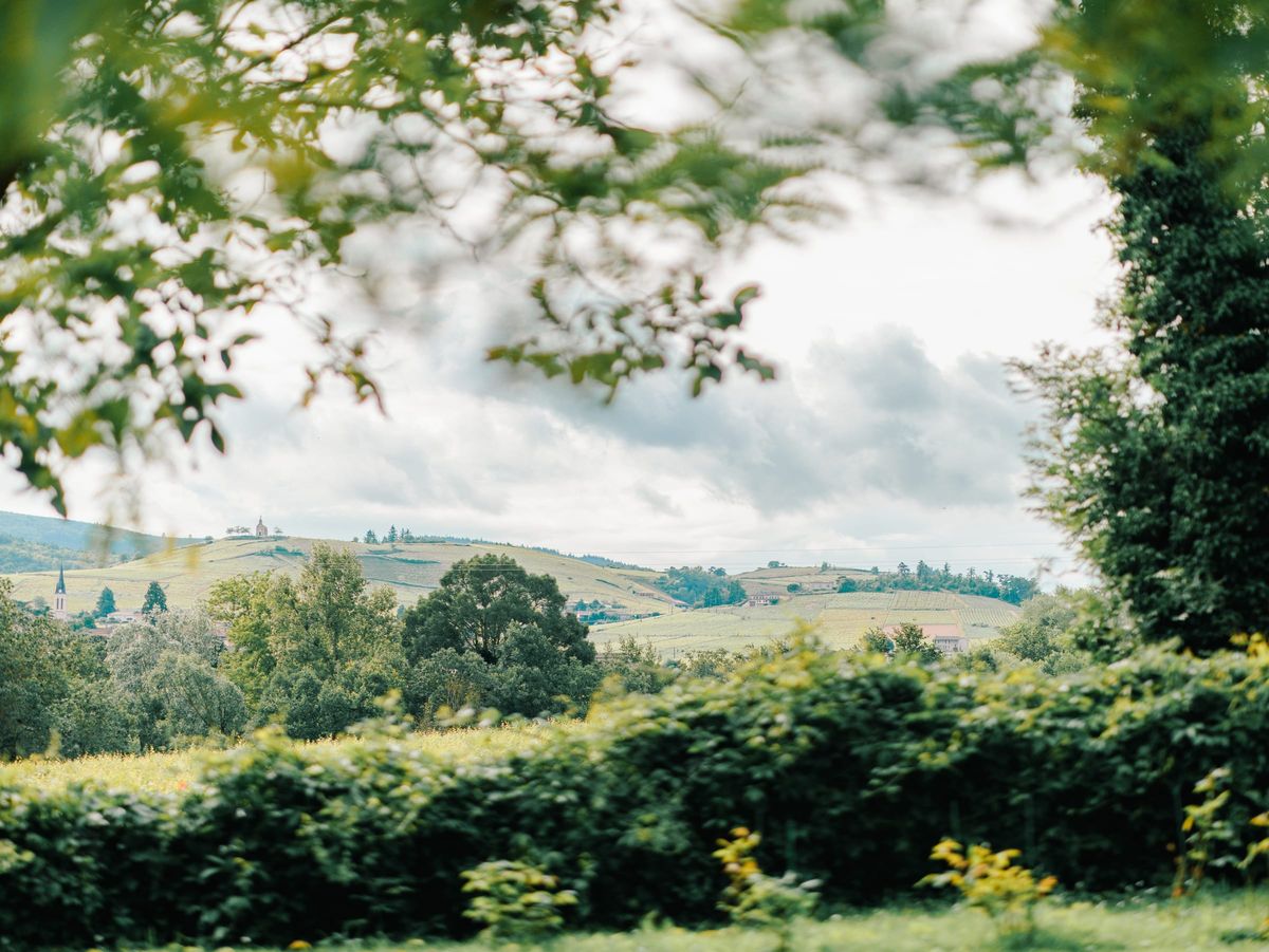 Beaujolais vineyard hills with a small hilltop chapel and village, seen from the estate