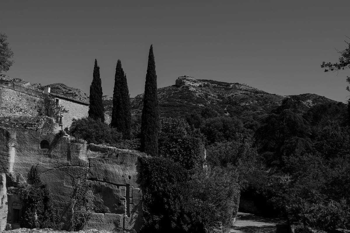 Black and white view of a hilltop village and cypress trees above the Luberon valley in Provence