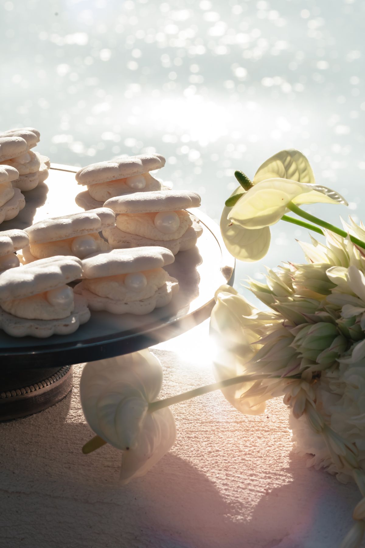 Shell-shaped macarons and white anthurium backlit by summer sun