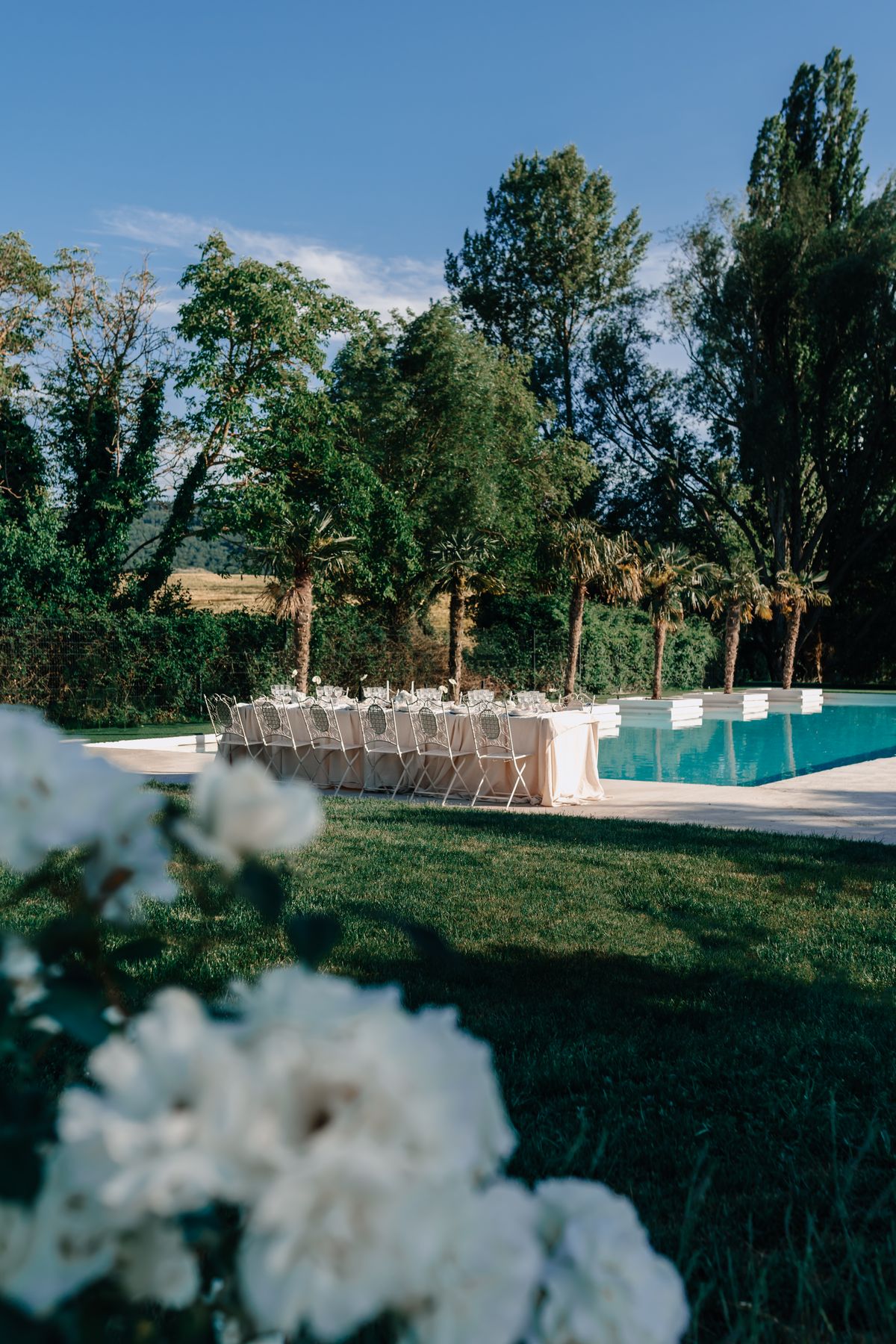 White blossom in the foreground with the pool and grounds beyond