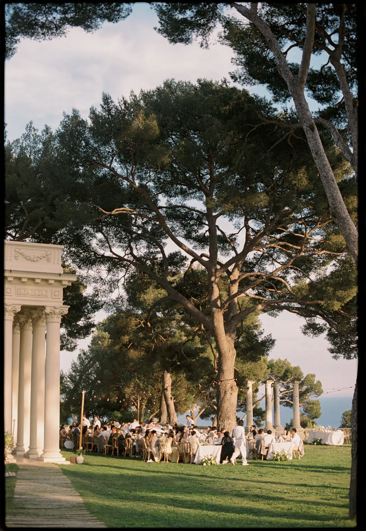 Wedding guests at dinner on the lawn among tall pine trees at Domaine Rocabella, French Riviera