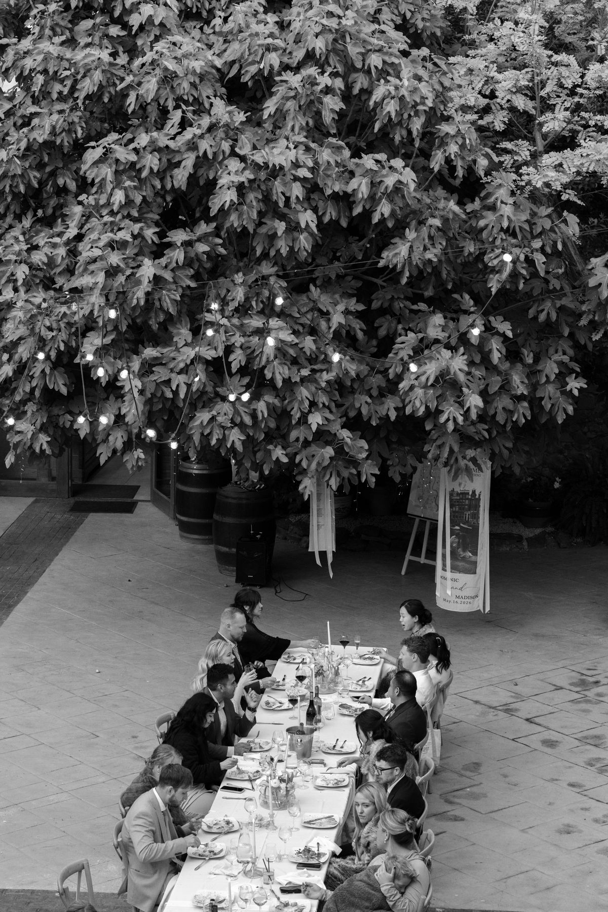 In black and white, seen from above, guests sit along a long laid table beneath a large leafy tree.