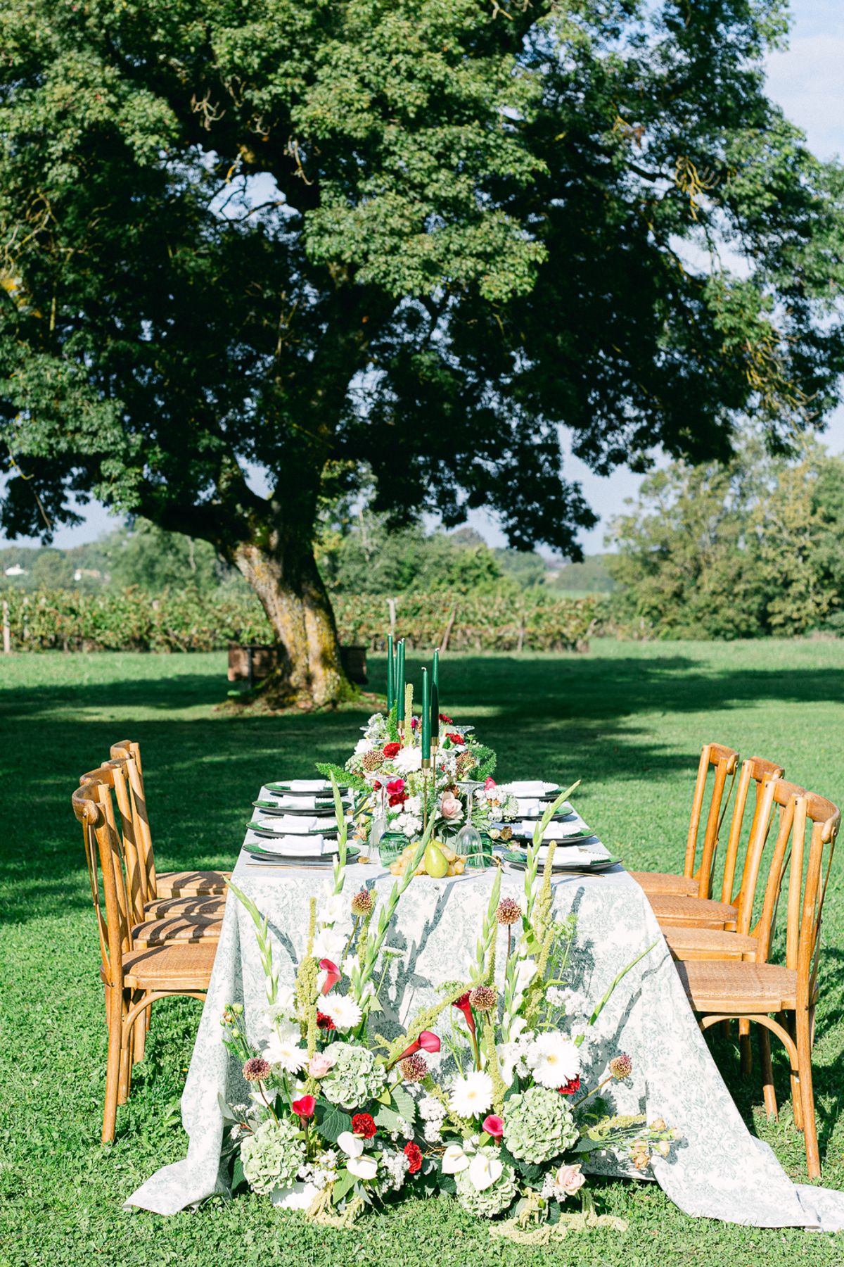 An outdoor dining table with a patterned cloth, black and white plates, tall flowers and wooden chairs stands under a large tree.