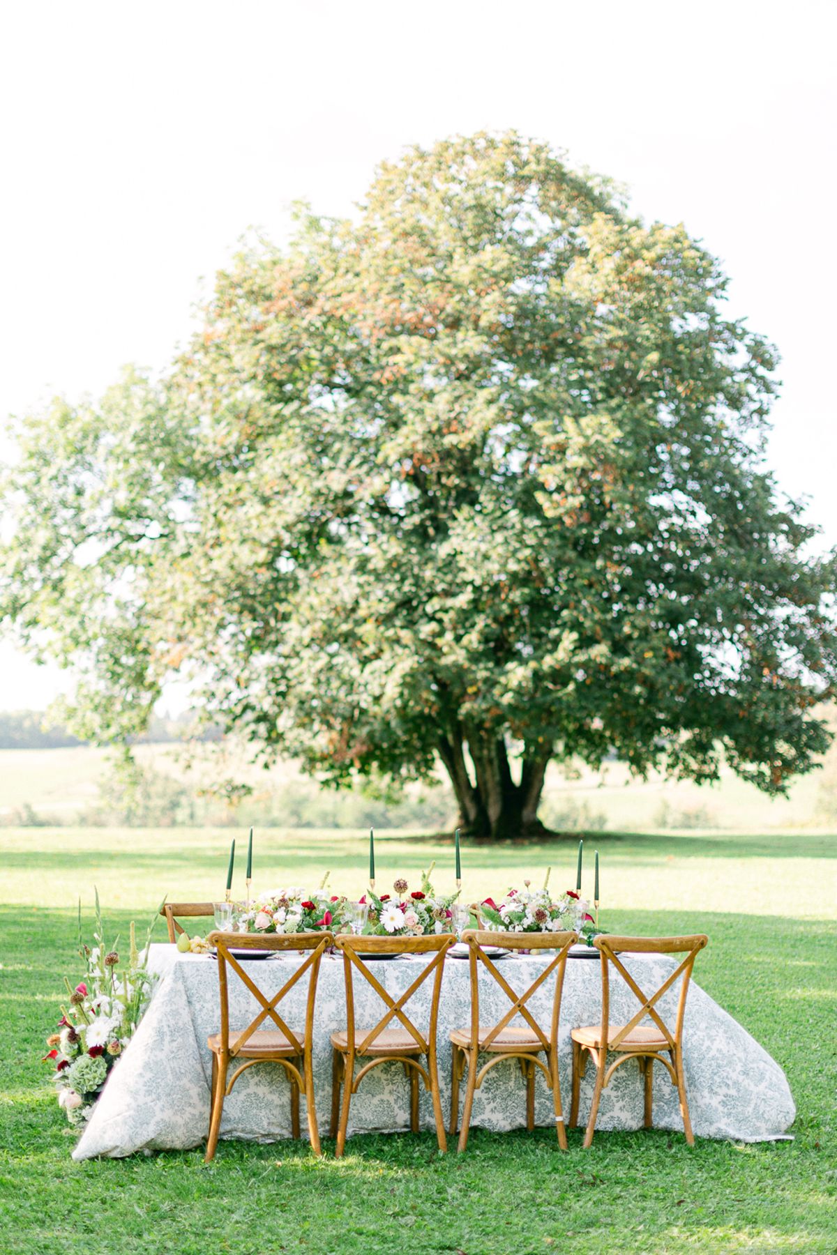 A long dining table with wooden chairs and floral decoration is set on a lawn beneath a large tree, with fields behind.