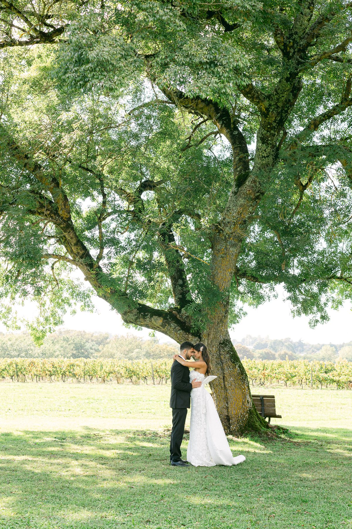 The couple embrace in the distance beside the trunk of a large tree on a lawn, with vineyards stretching behind them.