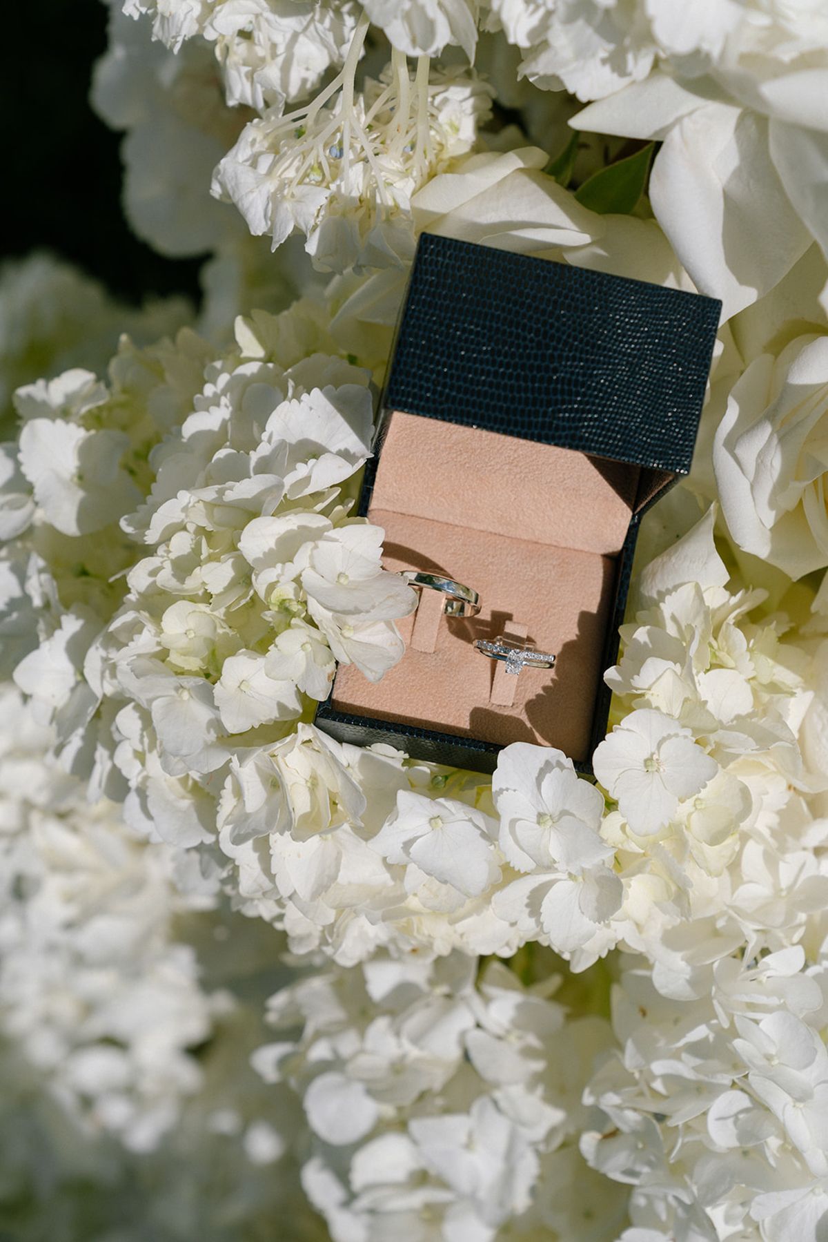 Wedding rings in an open box surrounded by white hydrangea