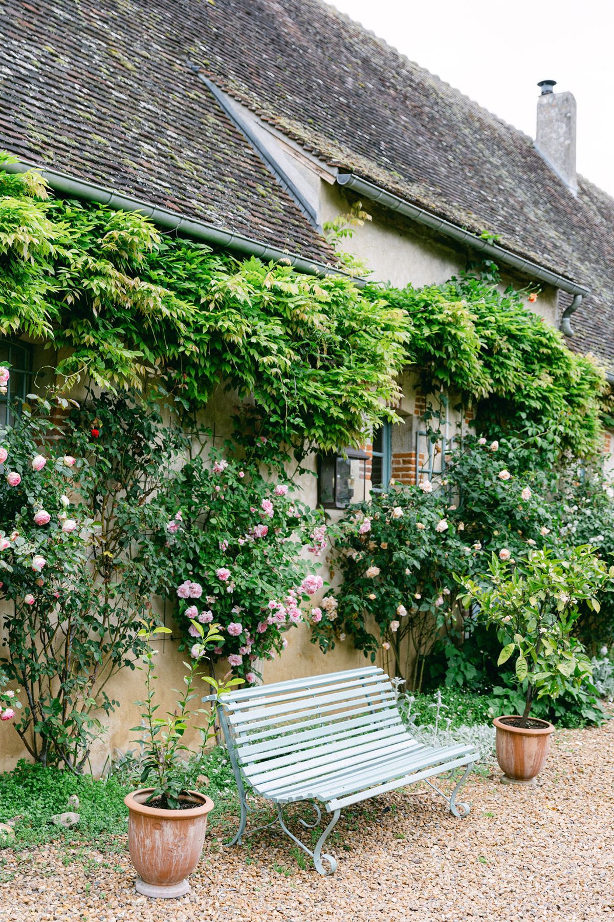 A stone house covered in climbing greenery and pink roses, with a pale green garden bench and terracotta pots on gravel.