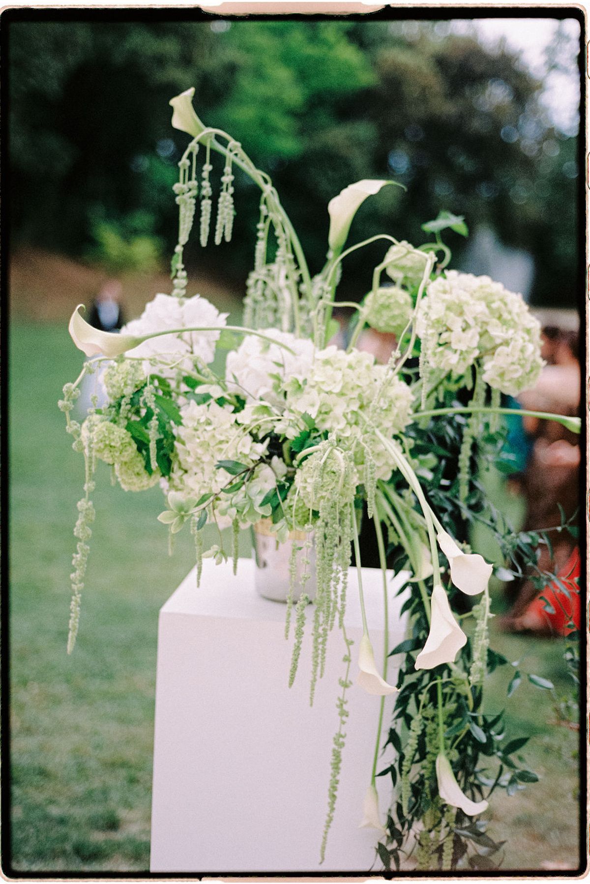 A close view of a calla lily arrangement