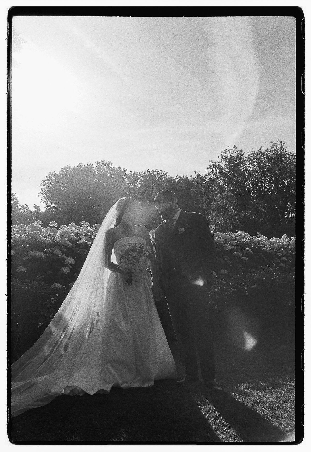 In black and white, the bride in a veil and the groom kiss in front of tall hedges under a bright sky.