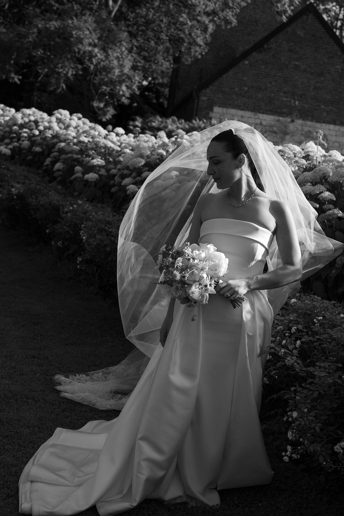 Black and white portrait of the bride in a strapless gown and veil holding a bouquet, looking down beside a hedge of hydrangeas.