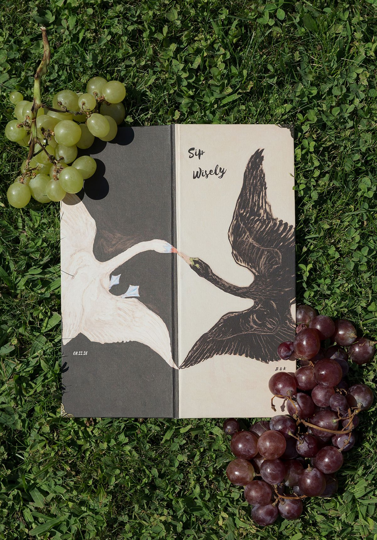 A notebook with a swan illustration laid on grass with red and green grapes