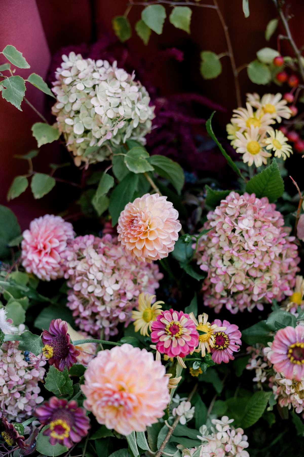 A close view of pink dahlias, cream and pink hydrangeas, and yellow and magenta daisy-like flowers.