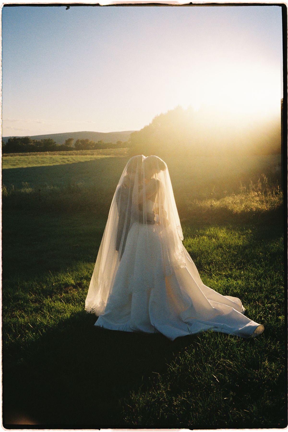 Bride's veil lifted by the wind against a bright sky