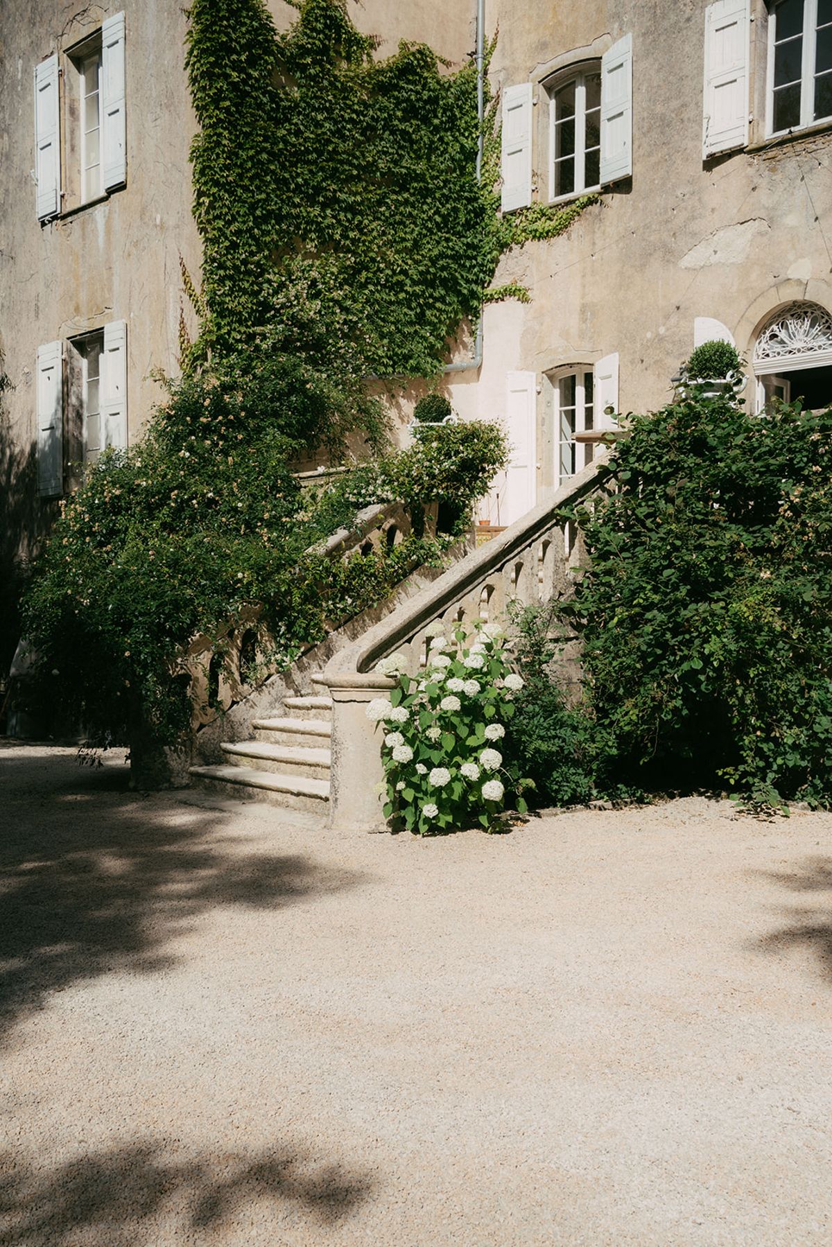 Hydrangeas on the ivy-covered steps at Chateau du Pont Bourguet
