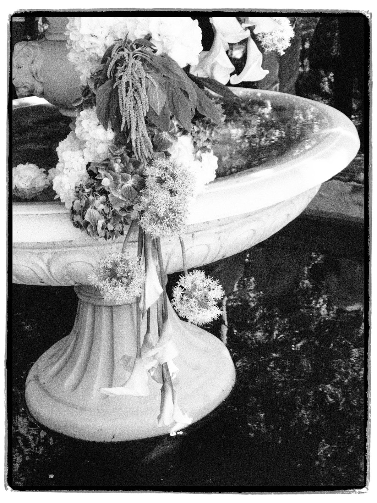 The flowering fountain at Chateau du Pont Bourguet, in black and white