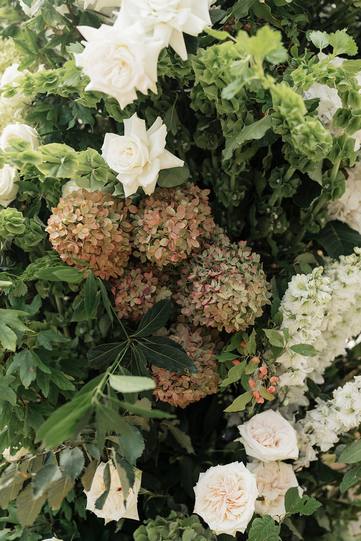 A close view of cream roses, dried-looking hydrangeas and white blooms among green foliage in a large floral arrangement.