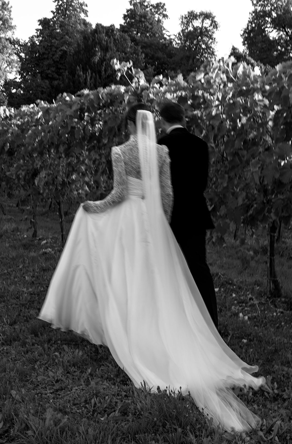 In black and white, the couple stand among vines seen from behind, the bride's veil and long skirt trailing on the grass.
