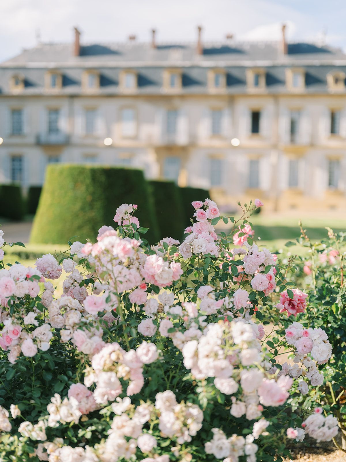 Roses in the formal garden with the chateau beyond