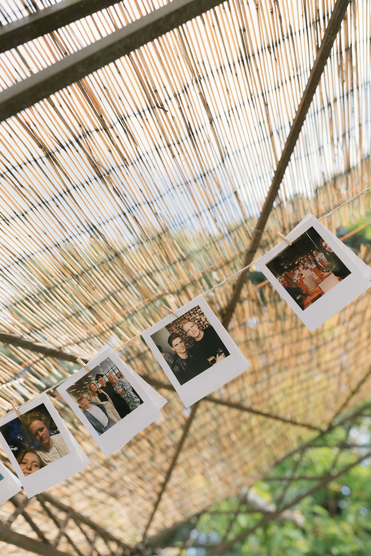 Instant photographs hanging from the reed shade of a pergola
