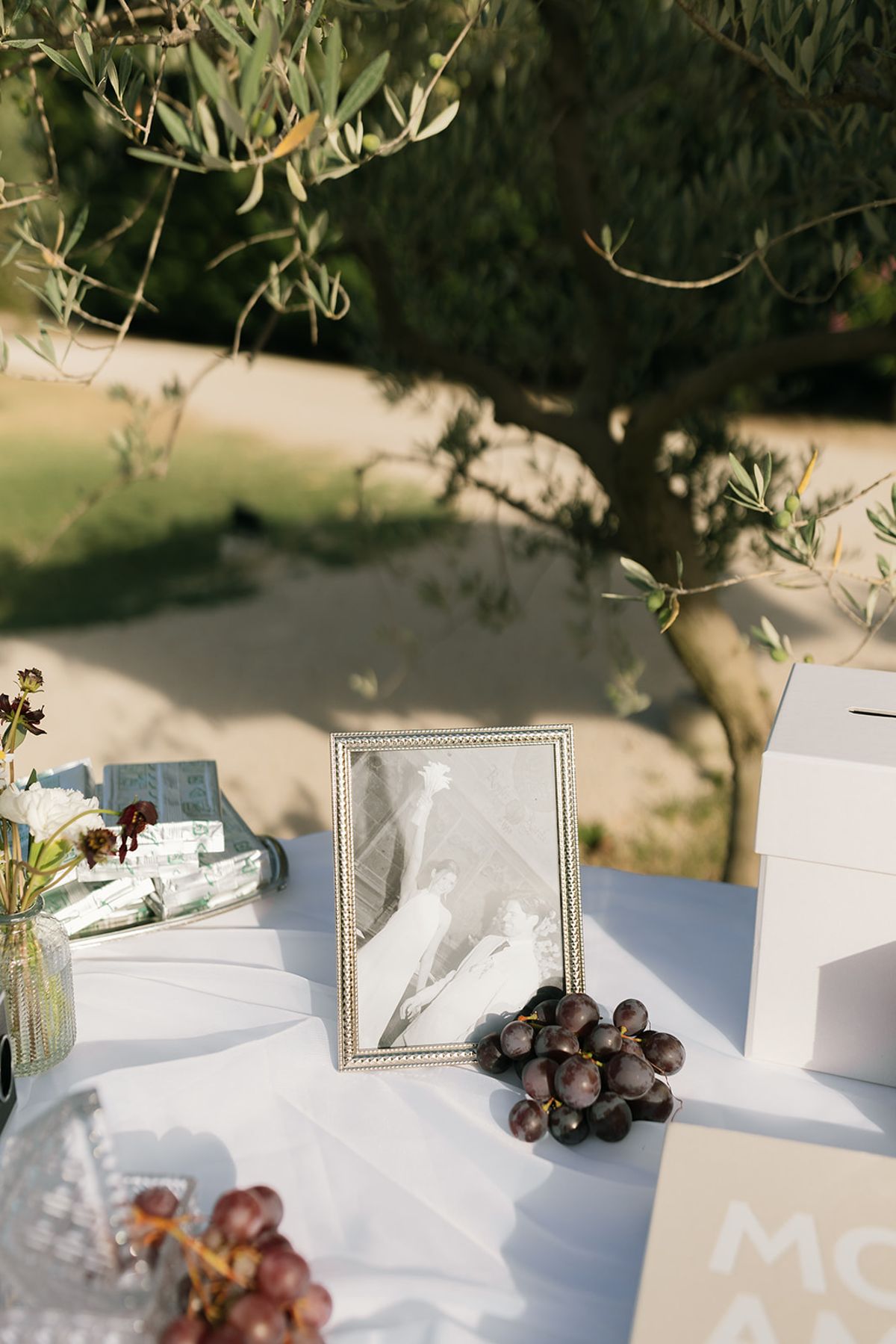 A framed photograph and grapes on the guest book table beneath an olive tree