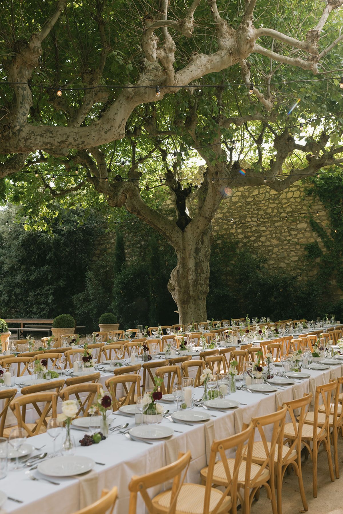 Long dinner tables laid with white linen beneath the plane trees in the courtyard