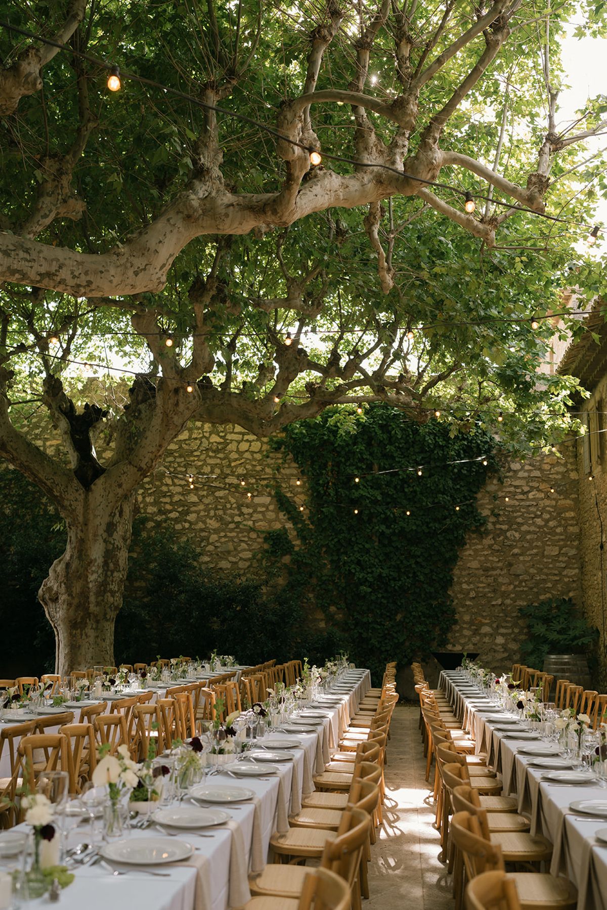 Rows of long tables with wooden chairs under the plane trees and string lights