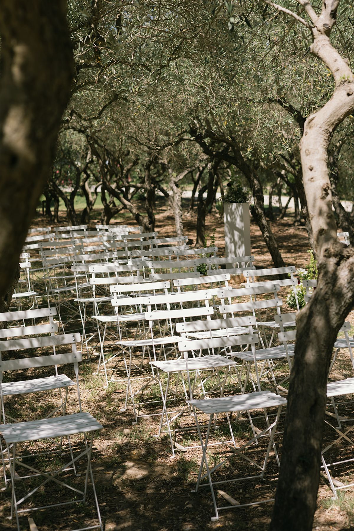 Rows of white folding chairs set among the olive trees at Le Petit Roulet
