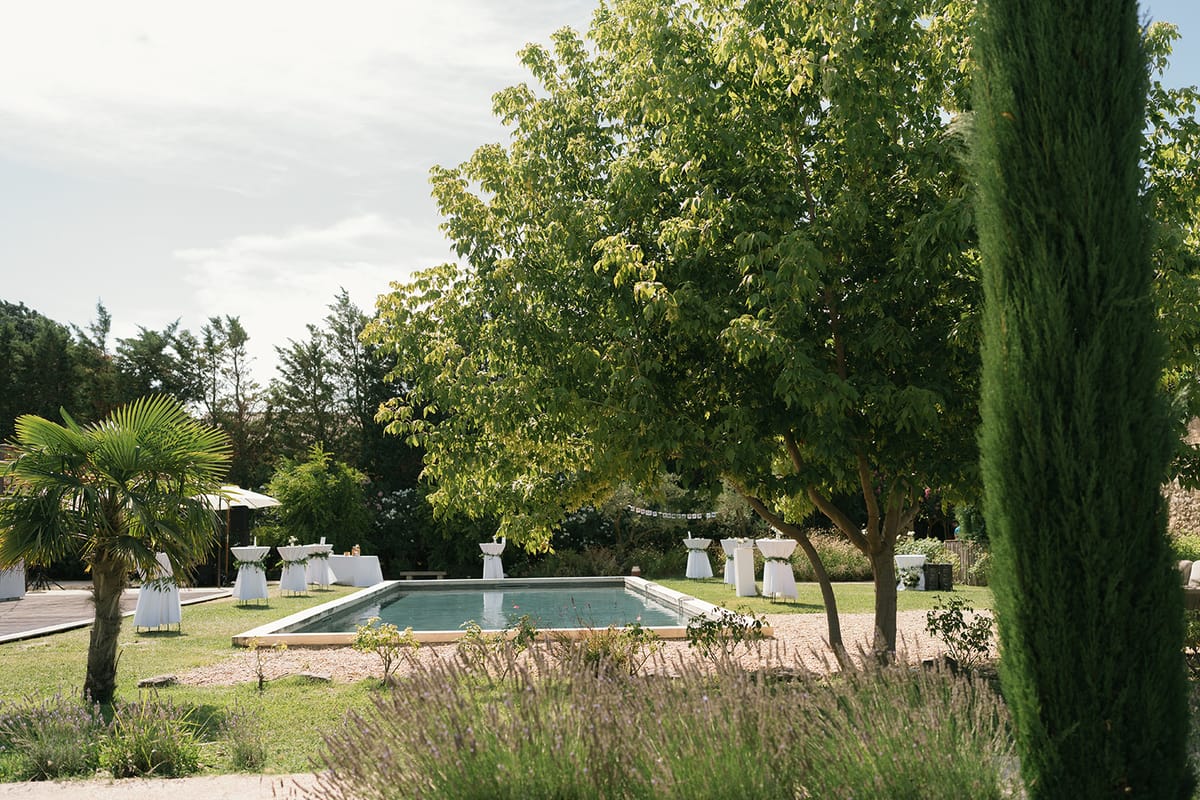 The pool and lawn at Le Petit Roulet, framed by cypress and palm trees