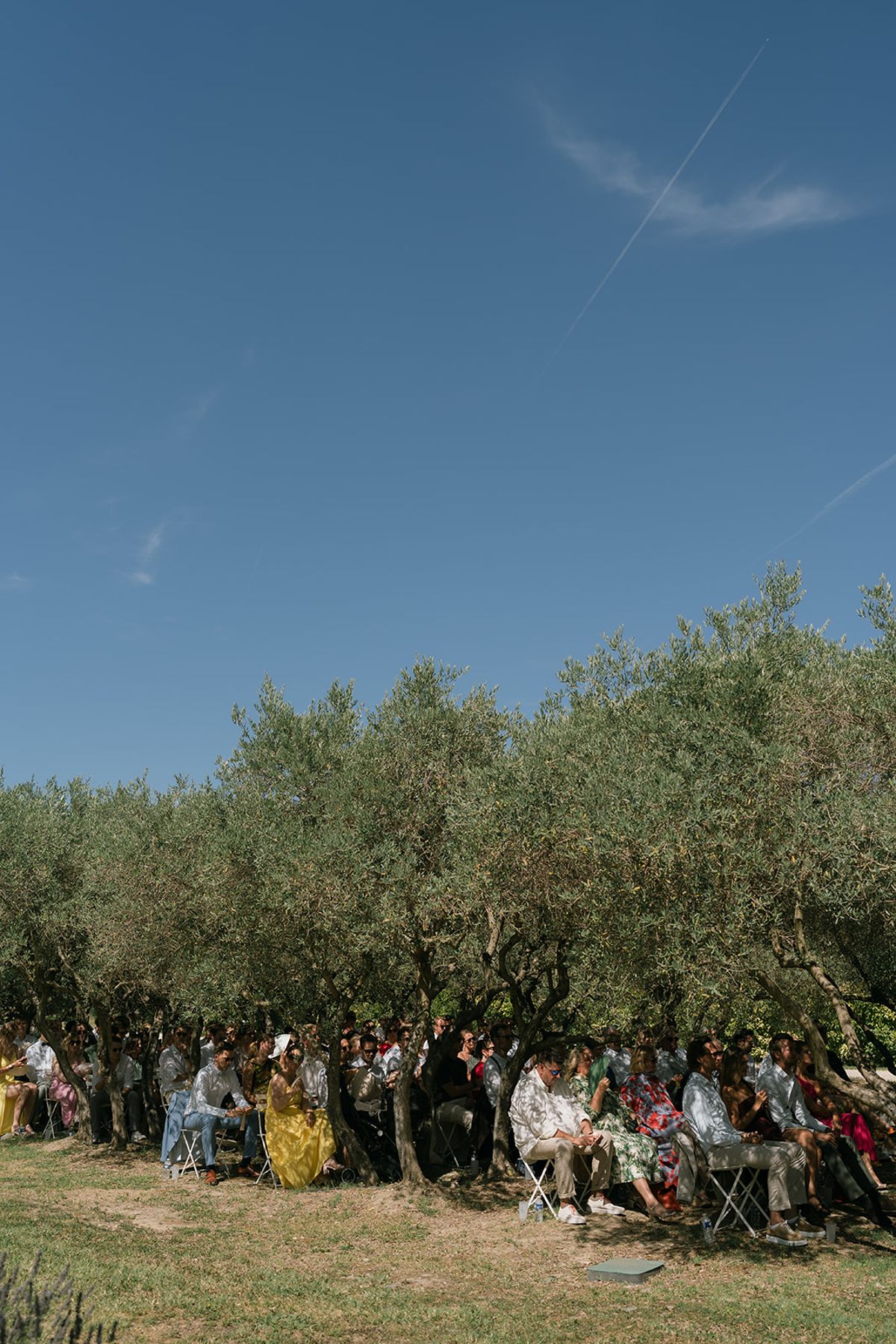 Guests seated beneath the olive trees for the ceremony at Le Petit Roulet