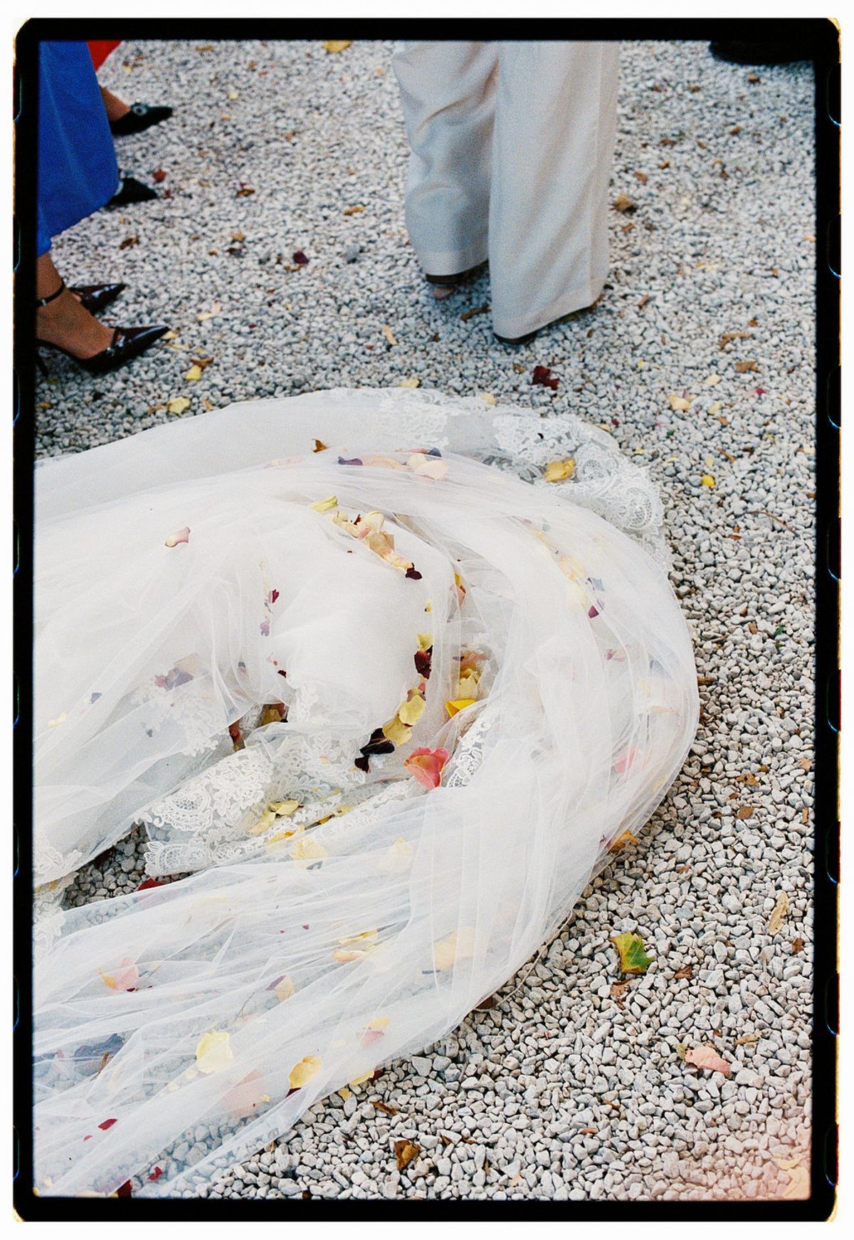 Film photograph of the bride's tulle train scattered with confetti on the gravel