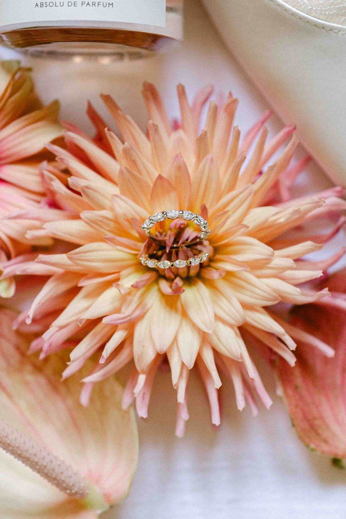 Two rings rest in the middle of a peach-coloured dahlia surrounded by pink petals, with part of a perfume label above.