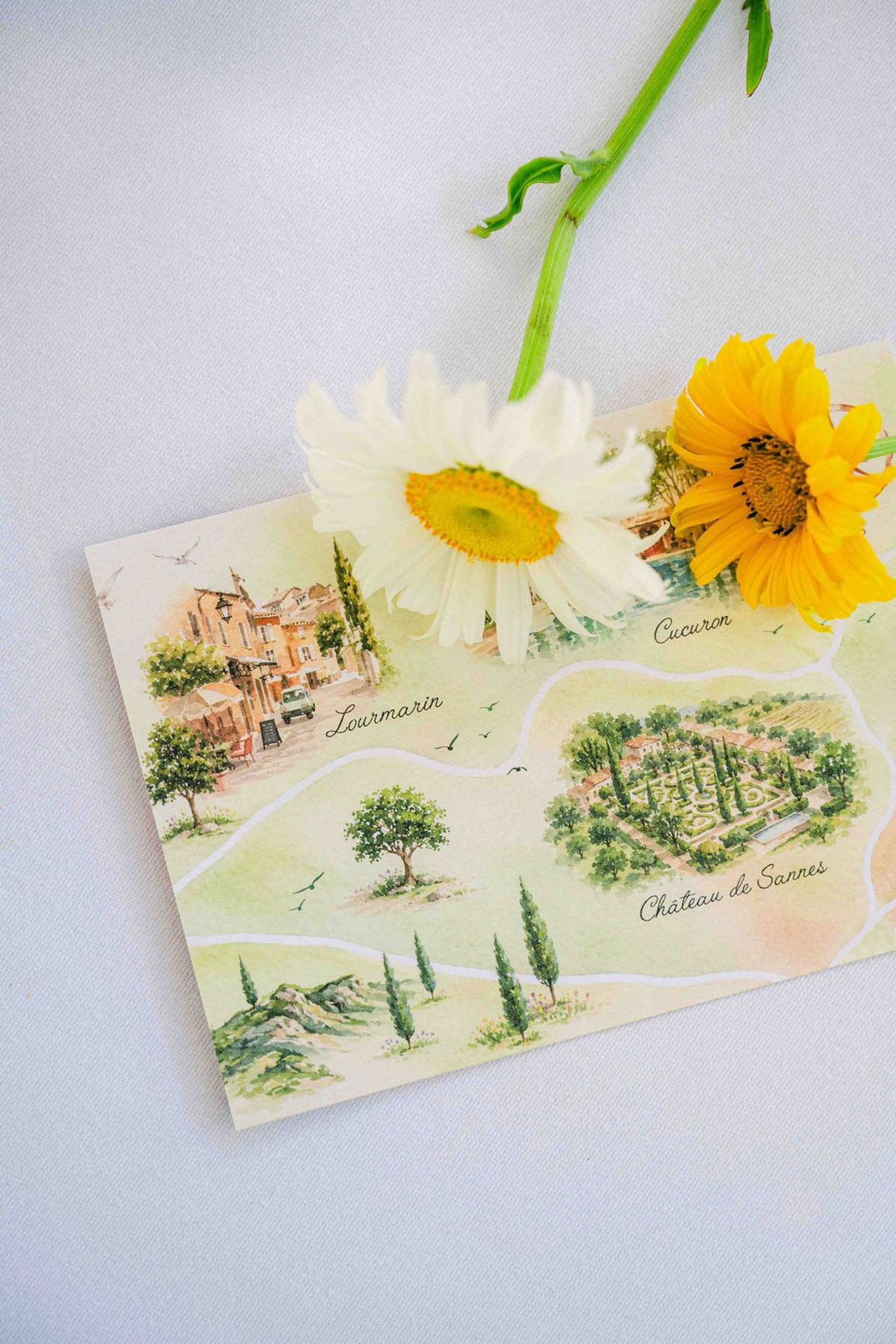 A hand-illustrated map card showing a chateau and surrounding countryside lies flat beneath two white and yellow daisies.