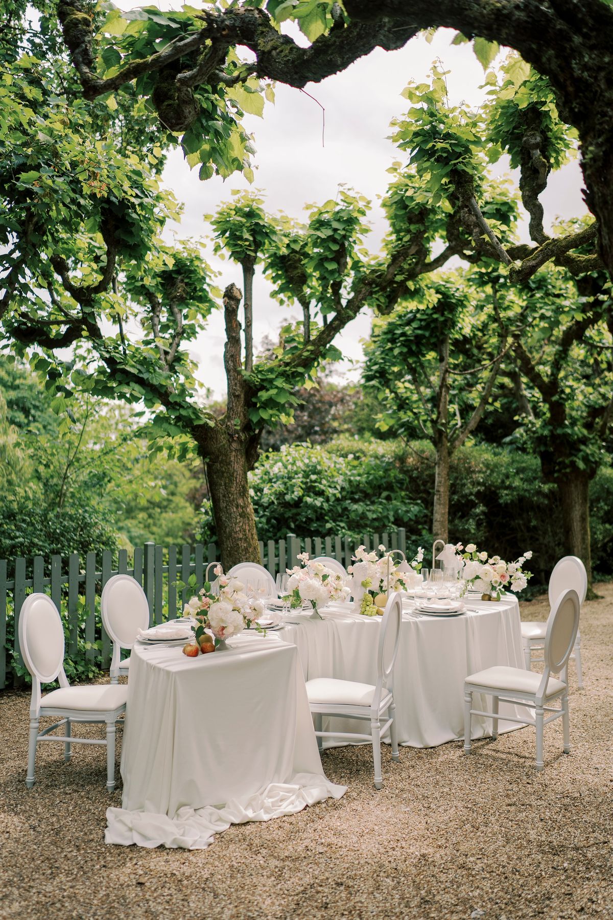 The lime-tree alley at Château du Prieuré, a serpentine table laid in white beneath its pleached trees