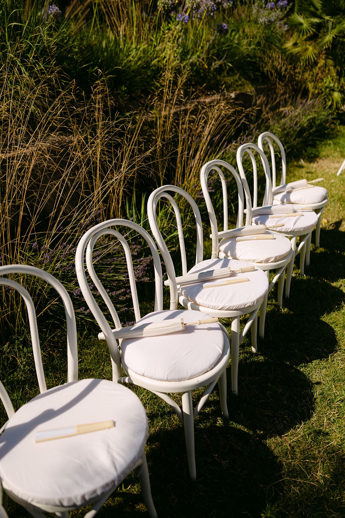A row of white bistro chairs stands on grass beside tall wild grasses in warm sunlight.