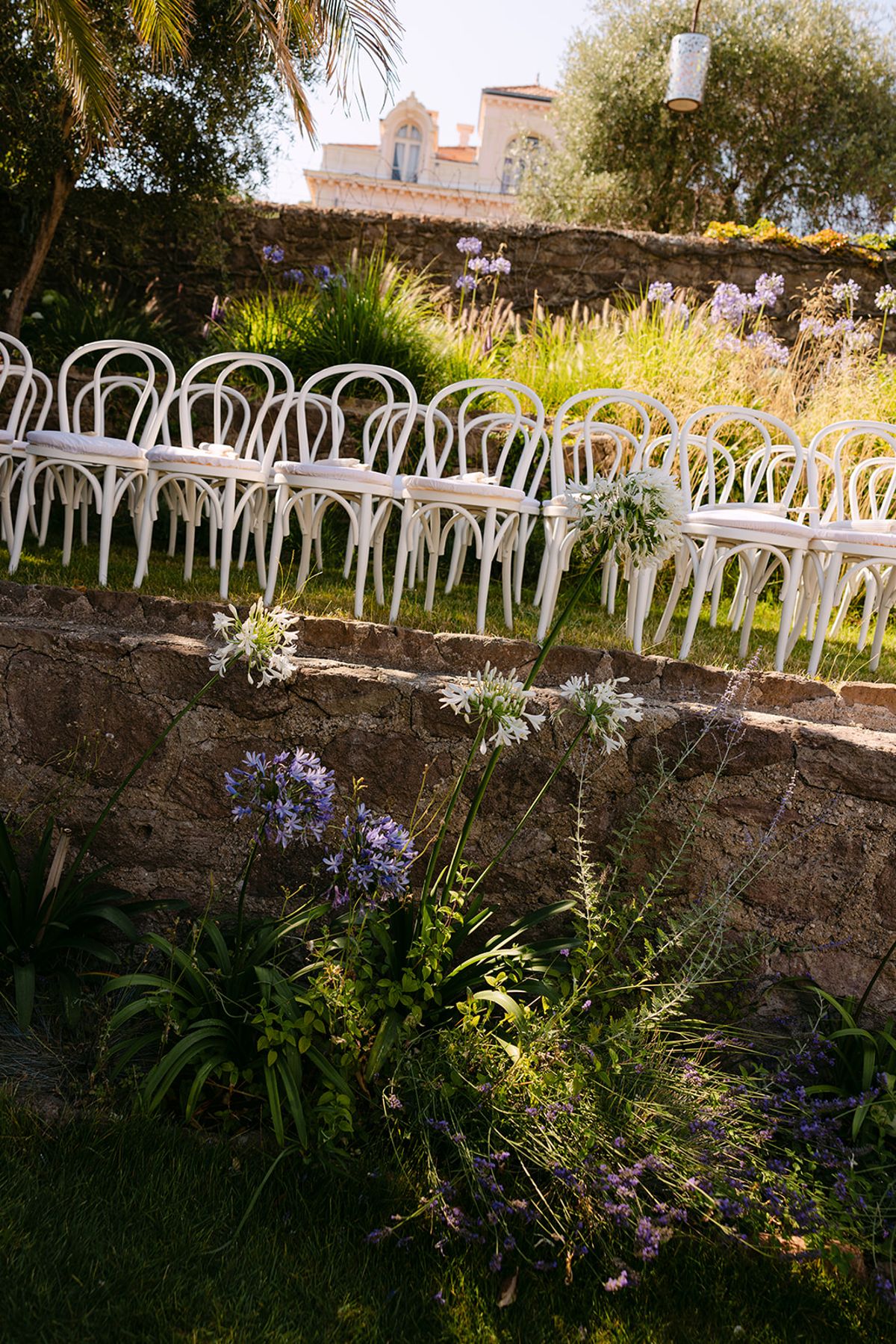White bentwood chairs are lined up on a grassy terrace above a stone wall, with purple agapanthus flowers in the foreground.