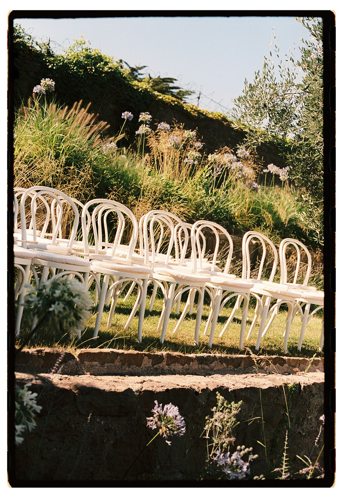 White bentwood chairs are arranged on a grassy terrace with tall grasses and flowers on the slope above.
