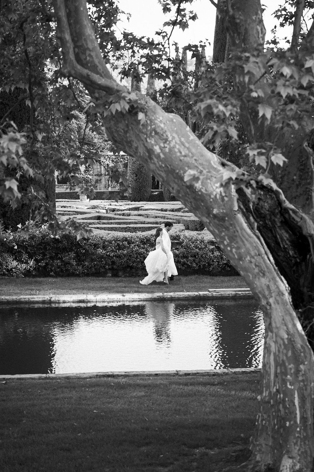 Black and white view of the bride beside the ornamental pond beneath an old plane tree at Château de Sannes, Provence