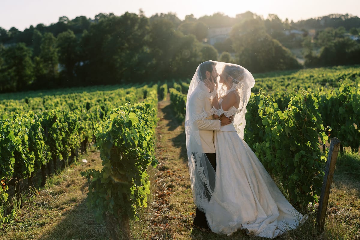 The couple embrace and kiss beneath the bride's veil between rows of green vines in warm evening light.