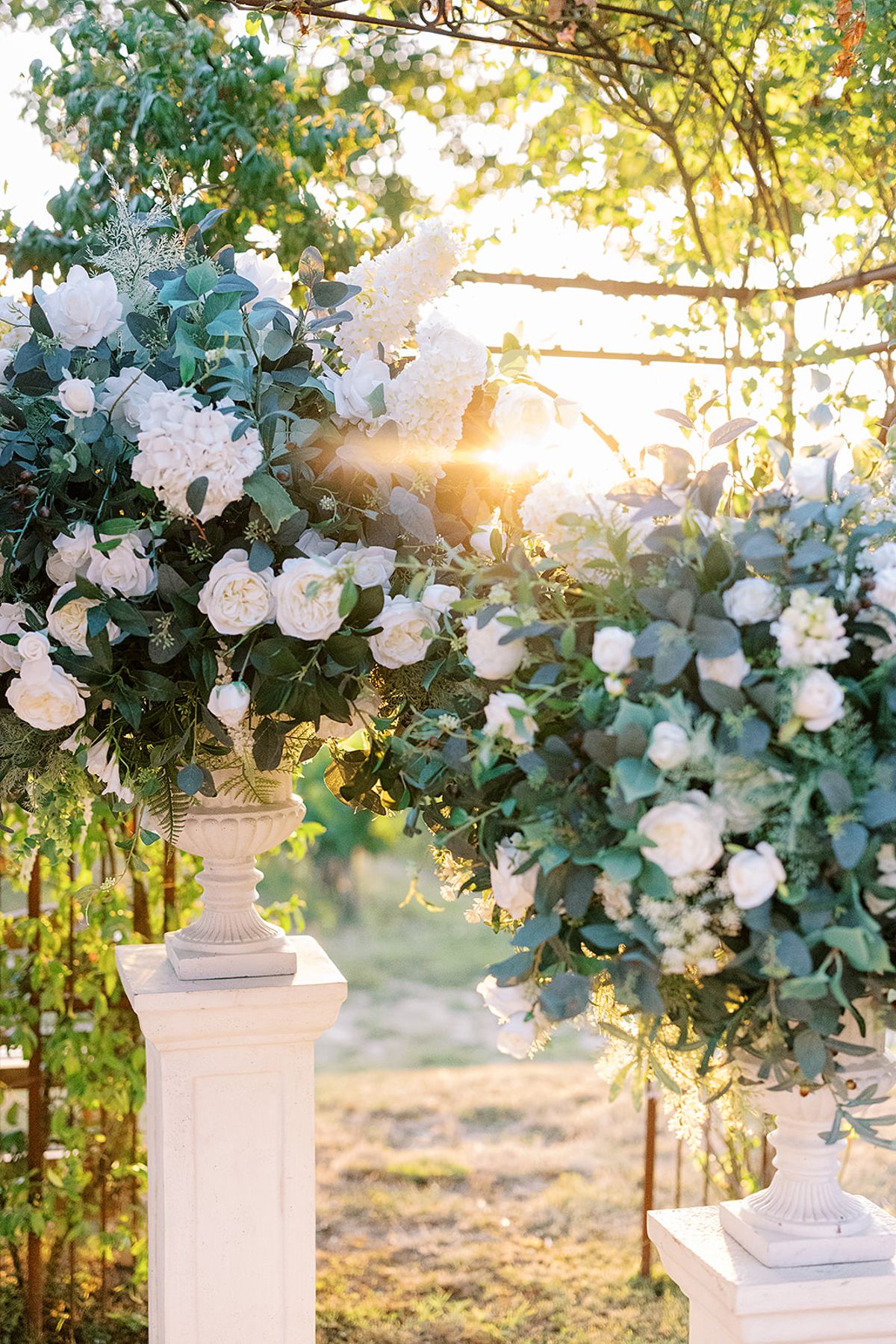 Large arrangements of white roses and eucalyptus sit on white pedestals, with low sunlight shining through the leaves behind.