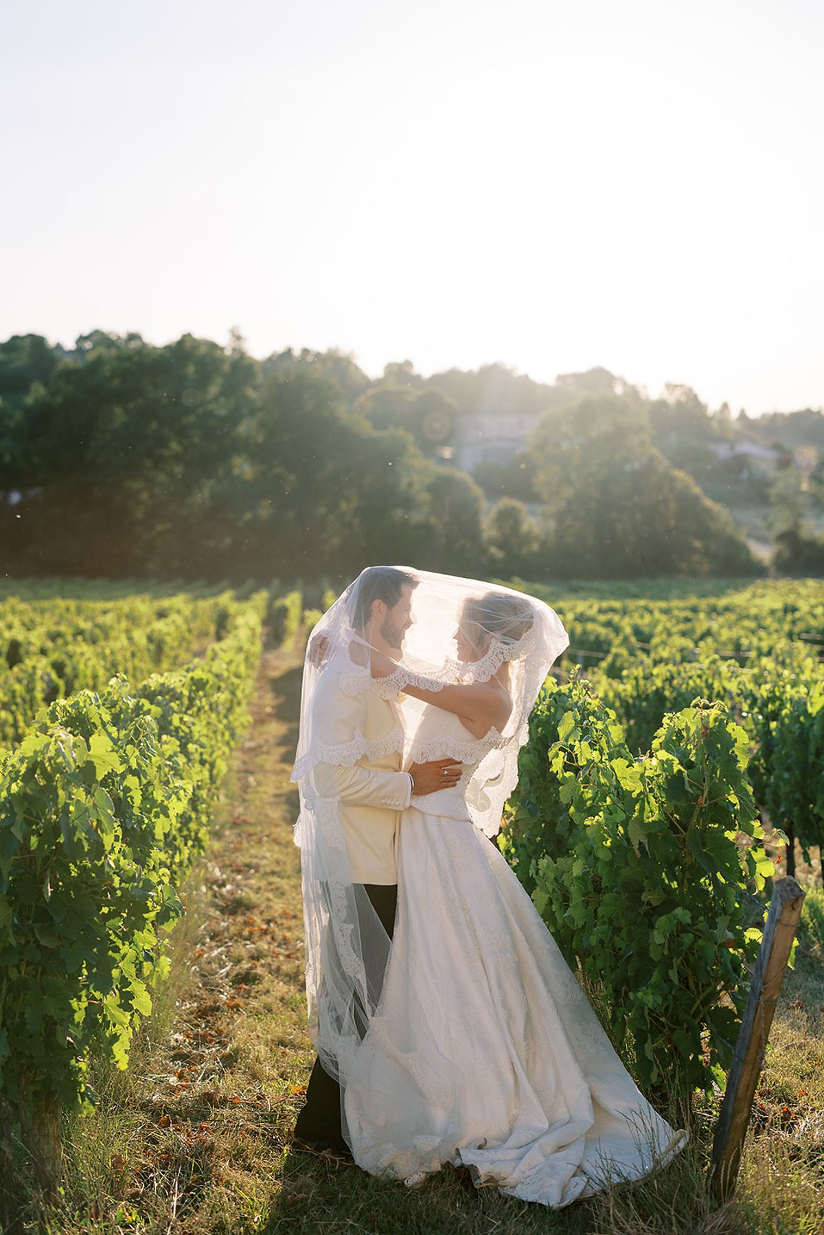 The bride and groom embrace in a vineyard row, her long veil draped over them in warm, low sunlight.