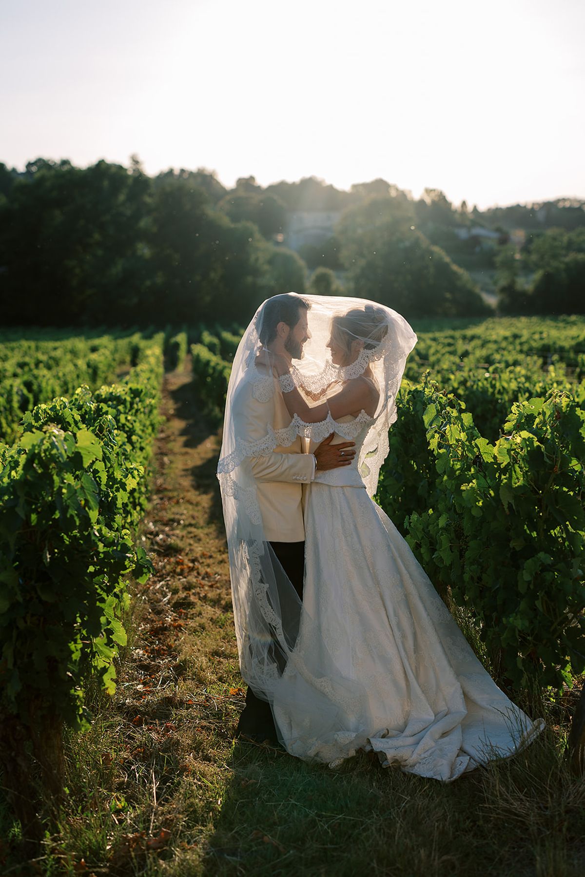 The couple embrace beneath the bride's veil between rows of green vines, lit by low golden sunlight.